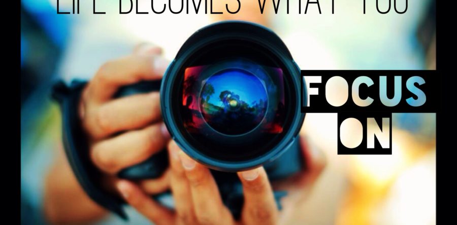 What You Focus On Creates Your Reality