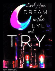Read more about the article Look Your Dream In The Eye…And Try