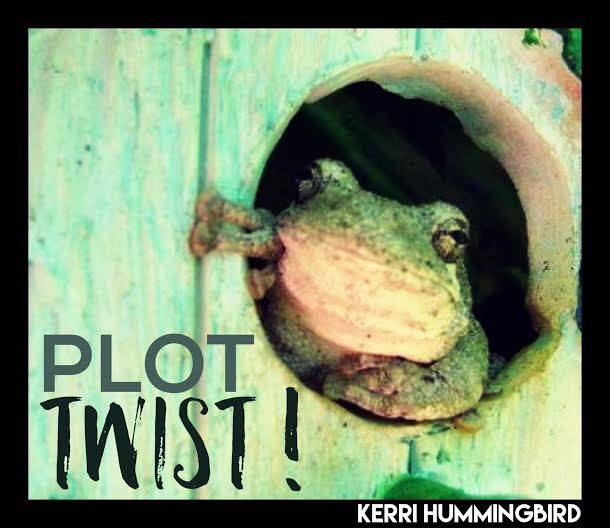 Read more about the article When Life Veers Somewhere New, Yell “Plot Twist!”