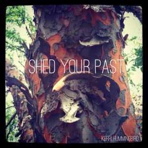 Read more about the article Shed Your Past