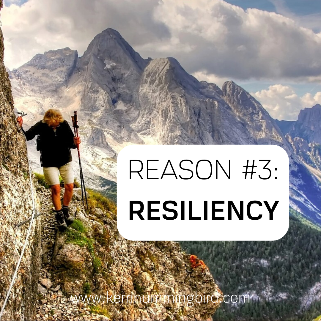 Read more about the article Reason #3: Resiliency