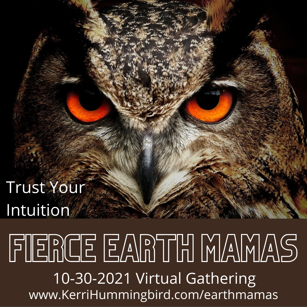 You are currently viewing Owl Invites You To Trust Your Intuition, Earth Mama