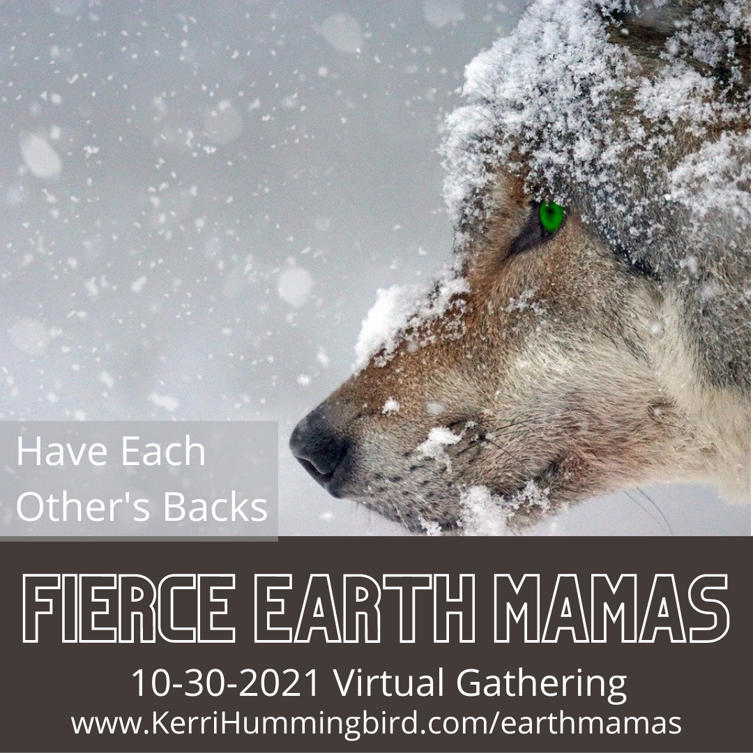 You are currently viewing Wolf Calls You To Your Tribe, Earth Mama