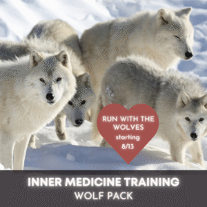 Inner Medicine Program – Level I – Foundation – Wolf Pack 2025