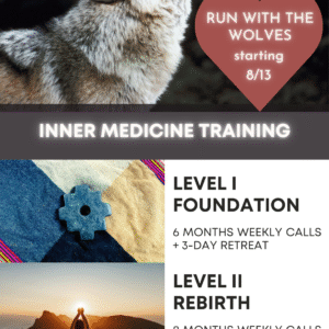 Inner Medicine Training – Levels I, II, III – Wolf 2025
