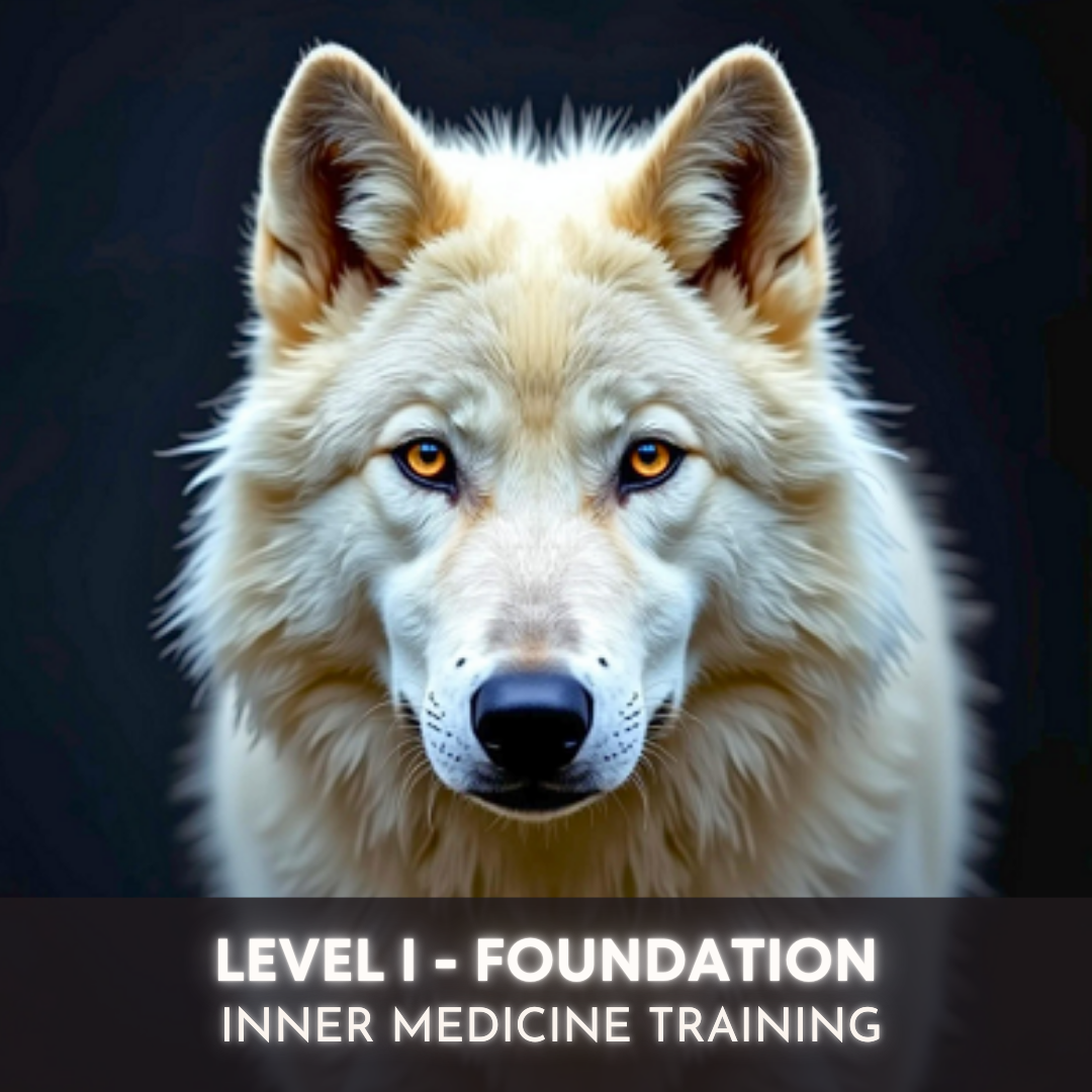 Read more about the article Inner Medicine – Level I – Foundation – Lone Wolf