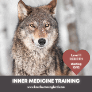 Level II – Inner Medicine – Wolf 2025