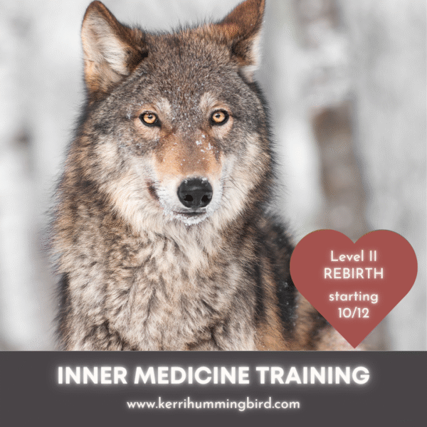 Level II - Inner Medicine - Wolf 2025