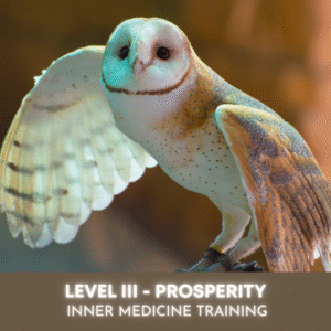 Level III Prosperity – Inner Medicine – Owl 2025